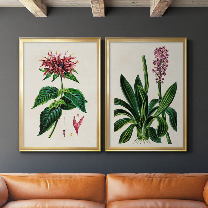 Antique Floral Folio I - Ensemble de 2 reproductions d'art sur toile encadrées, Or, H 41,25 po x l 61 po x P 1,25 po