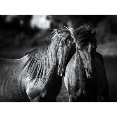 " Buddies Crop " by Aledanda