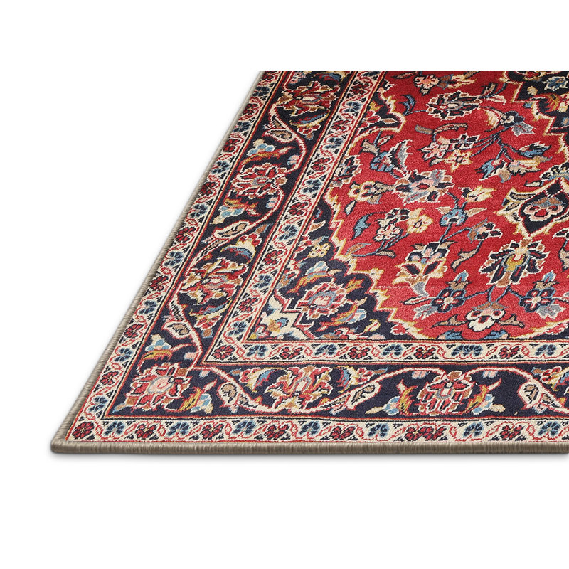 Dougie Oriental Indoor Rug, Rectangle 5' x 8'