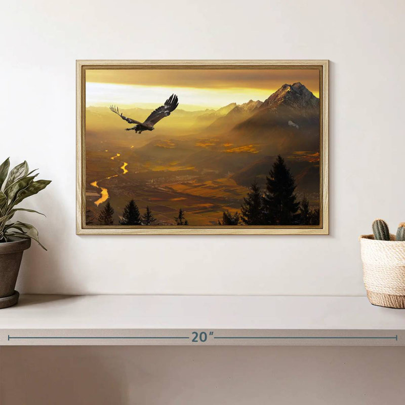 Aigle royal au coucher du soleil, Cadre flottant en bois naturel, 13 po x 9 po