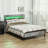 Bed Frame with Storage Headboard, Platform Bed Frame with LED Lights-268660837-293183454