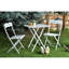 Ensemble de table et chaises de jardin 3 pièces, vert et noir, table 23,6 po x 28,7 po x 23,6 po | Chaises 15,7 x 32,7 x 15,7 pouces | 100% panneau de fibres à densité moyenne avec pieds en métal, rangement supplémentaire, conception polyvalente pour-857026871
