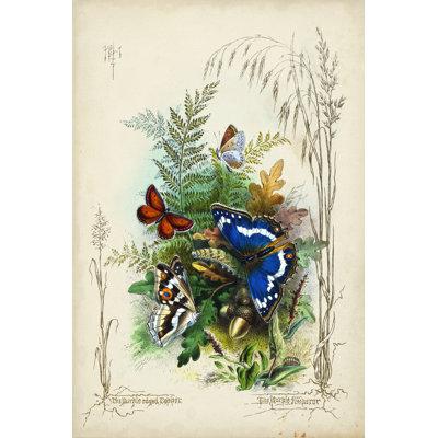 Victorian Butterfly Garden III - Wrapped Canvas Print