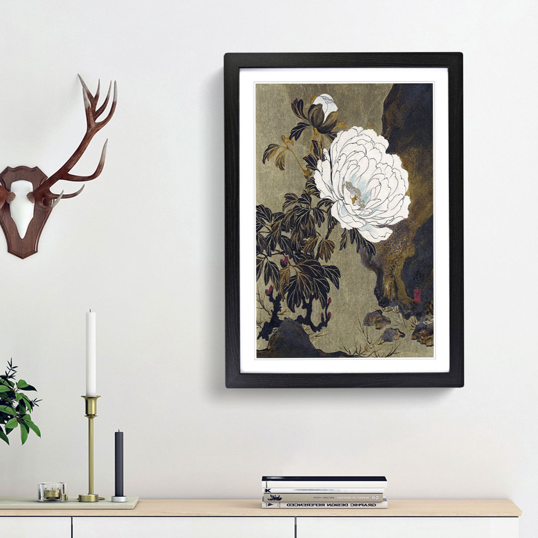 A Peony Flower by Shibata Zeshin - Framed Print
