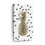 Pois ananas-995776483