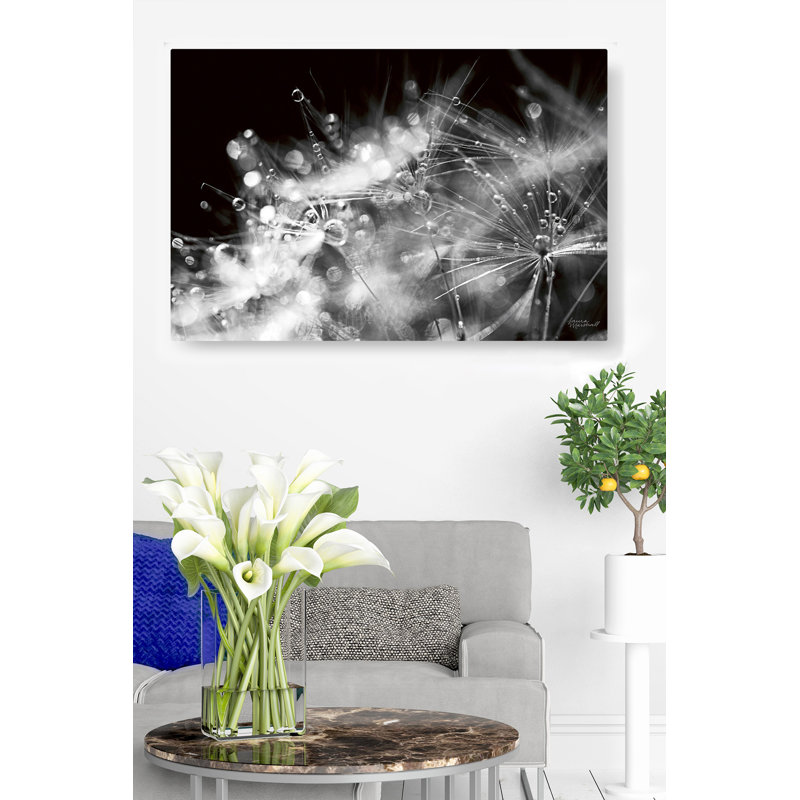 Up, On Black, Black And White, 24" H x 36" W x 1.5" D