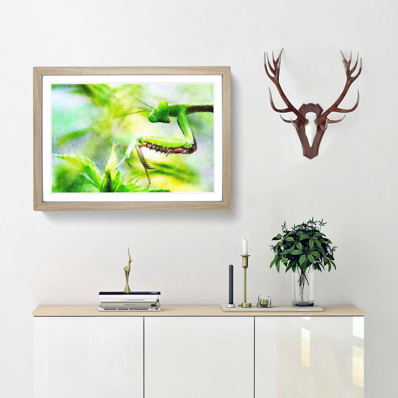 Peering Praying Mantis - Picture Frame Graphic Art Print, Oak, 45cm H x 63cm W x 2cm D