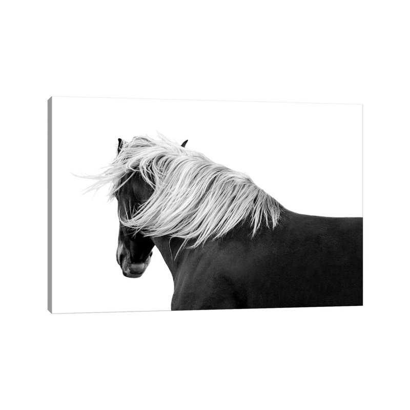 Flaxen Chestnut by Samantha Carter - Wrapped Canvas Print, 20.32 cm H x 30.48 cm W