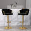 Ginko Height Adjustable Bar Stool-1471318271