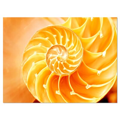 Yellow Nautilus Shell - Wrapped Canvas Graphic Art Print -  Design Art, PT9237-12-8