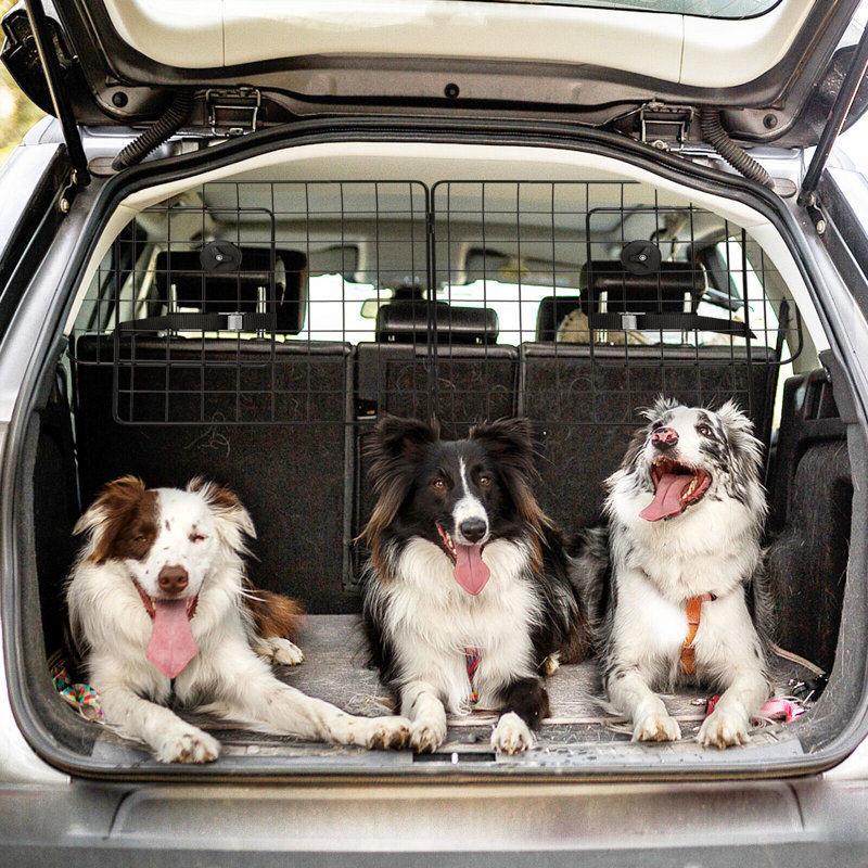 Barrière pour animaux Amatucci Extension