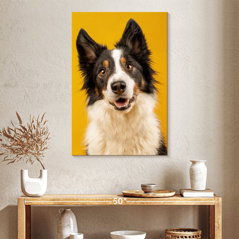 Brampt Adorable Border Collie, 39" H x 26" W