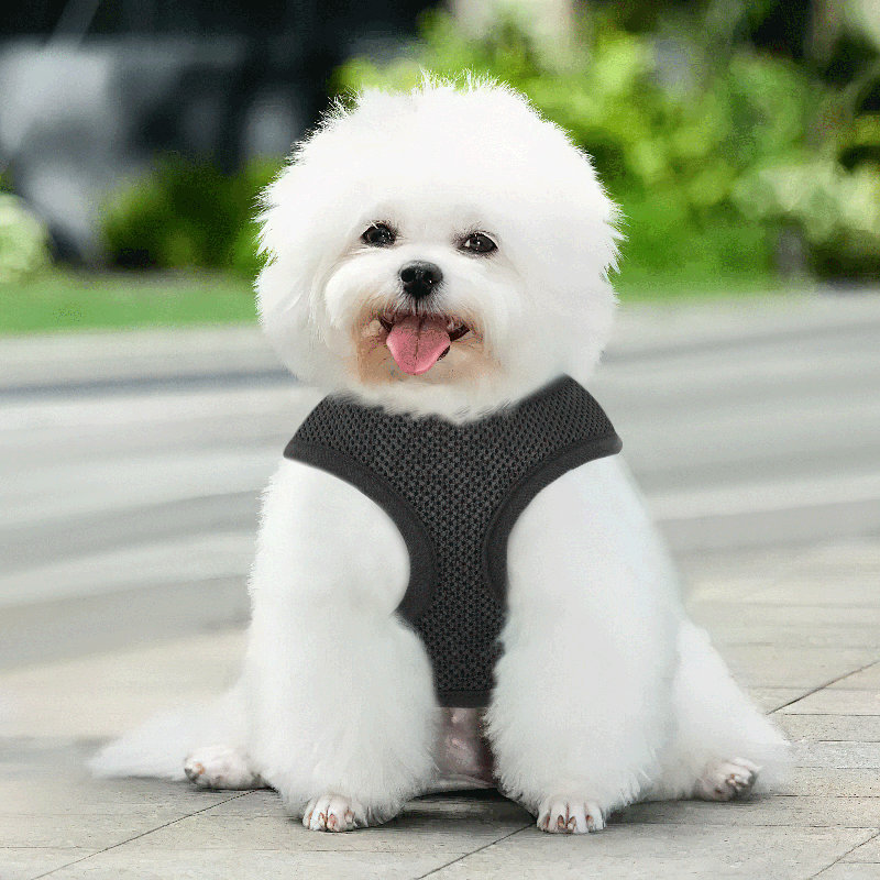 Harnais pour chien en maille, harnais anti-traction ajustable et rembourré avec anneau en D et boucle pour chiens, Noir