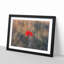 Red Poppy Flower - Framed Print-56758863-56758868
