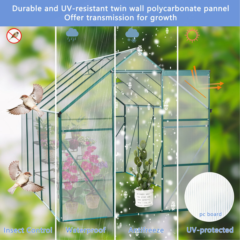 Spacieuse serre en polycarbonate avec des caractéristiques avancées pour le jardinage à l'année, Vert