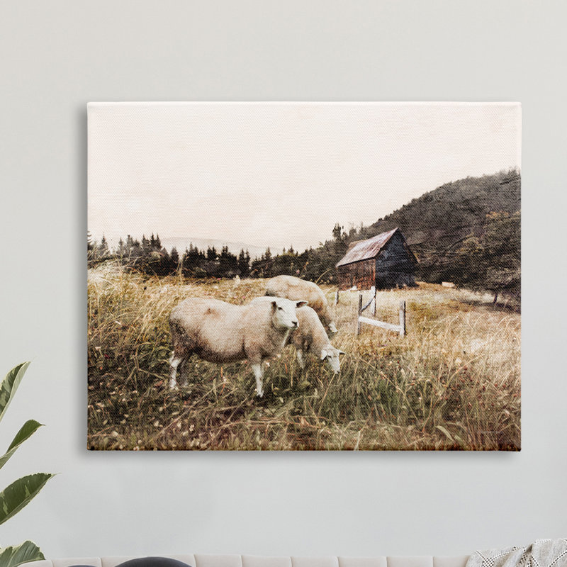 Automne, champ, moutons, pâture, grange sauvage - photographie, H 36 po x l 48 po, Toile tendue