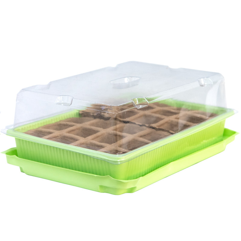 Green House With 24 Cell Paper Pot
