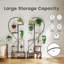Plant Stand - Set of 10