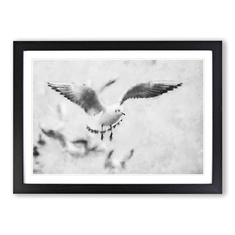 Seagull Birds - Picture Frame Graphic Art, 27cm H x 36cm W x 2cm D, Black Framed