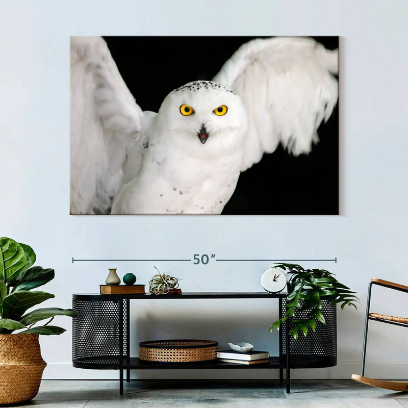 Brampt White Owl, 34" H x 51" W