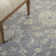 Stackhouse Oriental Indoor Rug