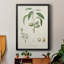Antique Ammond Botanical I, reproduction d'art encadrée-88436221-88436223