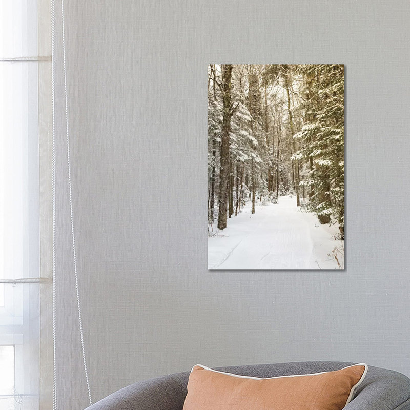 Through The Woods by Aledanda - Wrapped Canvas Print, 66.04 cm H x 45.72 cm W x 3.175 cm D