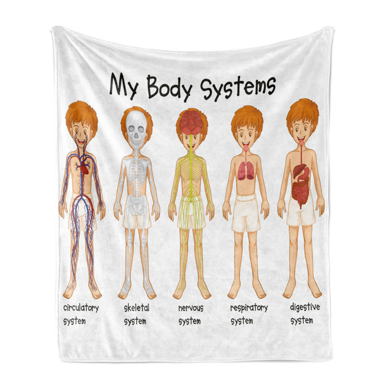 Ambesonne Science Fleece Throw Blanket Human Nerve System  Multicolor, 50" W x 60" L