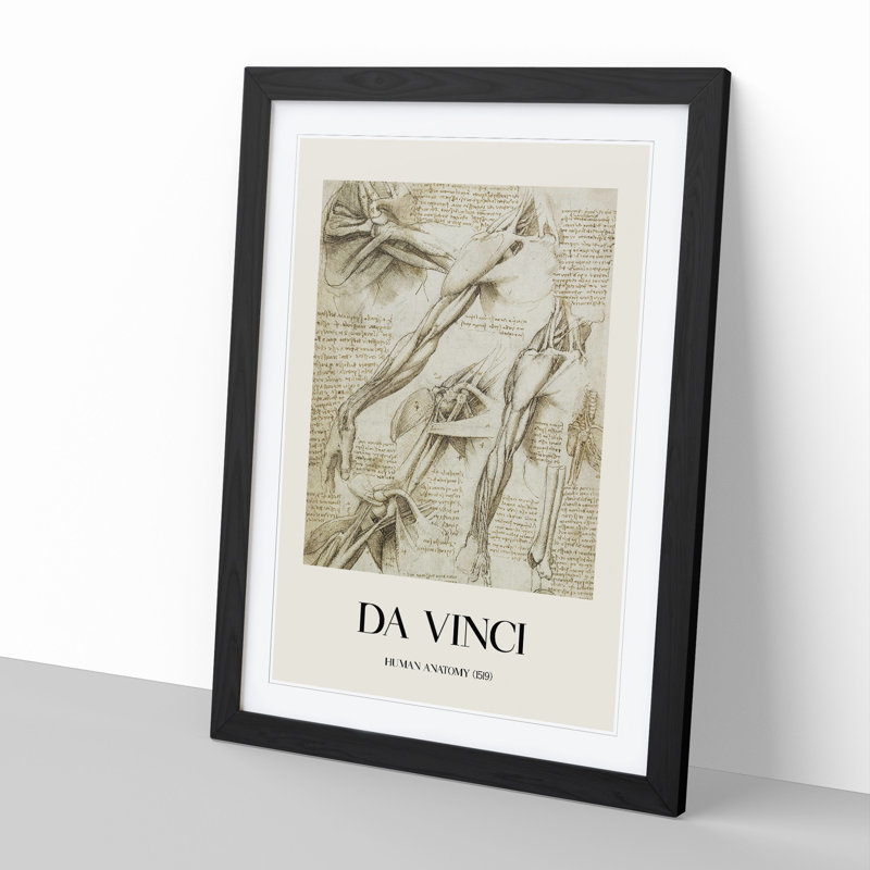 Human Anatomy Vol.1 by Leonardo Da Vinci - Picture Frame Drawing, 65cm H x 48cm W x 2cm D, Black Framed