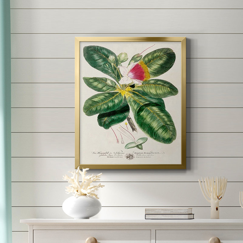 Toile encadrée de qualité supérieure Imperial Tropical Botanical I - prête à être accrochée, Or, H 24 po x l 20 po