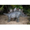 Dinosaur-Stegosaurus