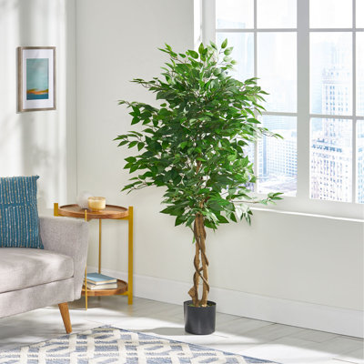 Ficus artificiel