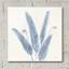 «Forest Ferns 2 V2 Blue» par Albena Hristova, art mural en verre acrylique-1904884024