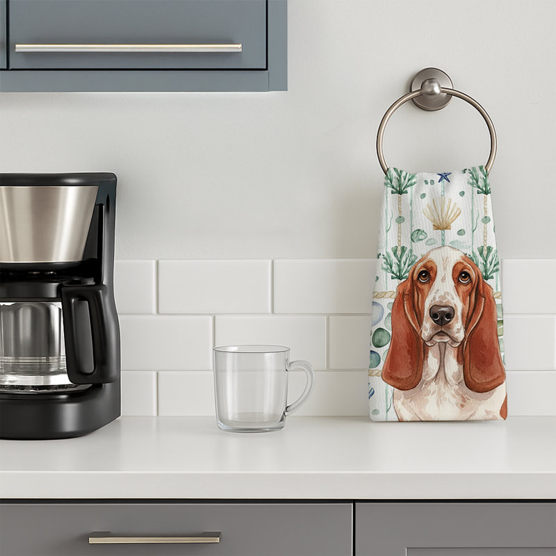 Torchon rouge et blanc Basset Hound, Basset hound rouge et blanc