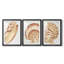 «Vintage Shell Vignette I», impression encadrée sur mesure de qualité supérieure mate - 3 pièces-2126711607-2126711601
