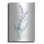 «Lavender II» par Chris Paschke-1237769202