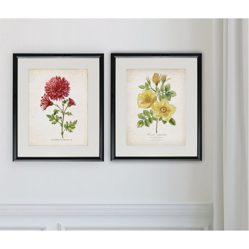 «Botanical III», ensemble de 2 reproductions d'impressions encadrées, Cadre noir