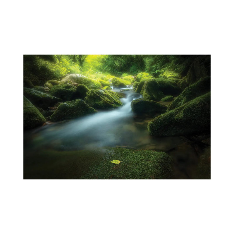 Green Stone by Bingo Z - Wrapped Canvas Print, 45.72 H x 66.04 W x 1.91 D