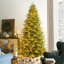 Sapin de Noël artificiel vert avec lumières Leilonie-113059156