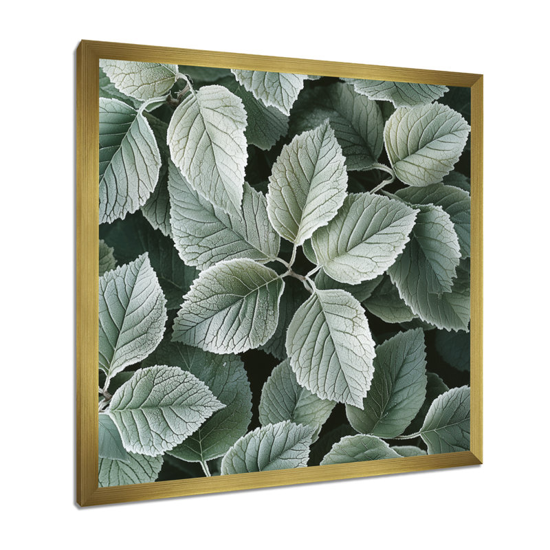 Décoration murale feuilles givrées II - feuilles, H 36 po x l 36 po, Reproduction encadrée d'une seule photo, Doré