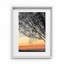 Sunset Tree Print by Joseph Regan-66910861-66910863