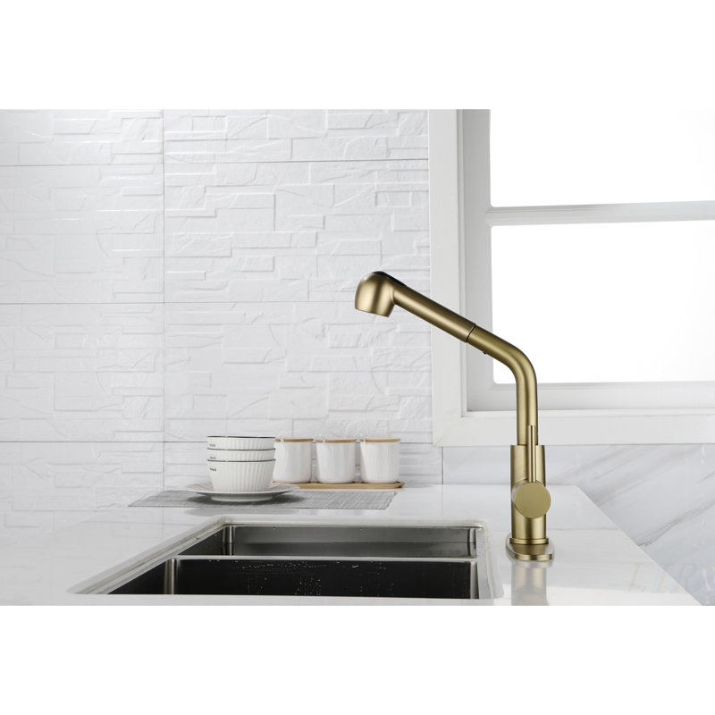 Utility Sink Faucets Single-Handle Pull-Out Laundry Faucet with Dual Spray Function in Stainless Spot Resistant Gold, Gold