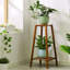 Degraff Plant Stand 2 Tier