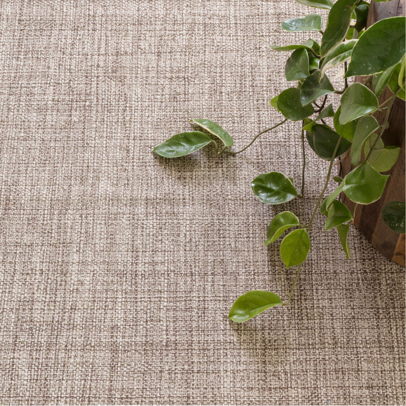 Tapis en coton tissé à la main brun Marled, Rectangle 2 pi x 3 pi