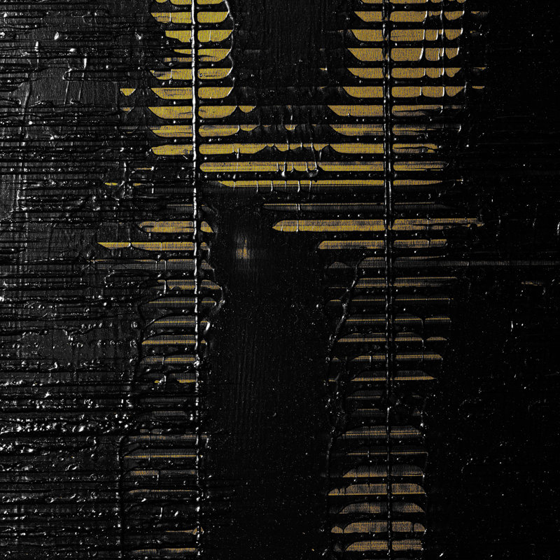 Les Plumes 30' L x 27" W Wallpaper Roll, Onyx
