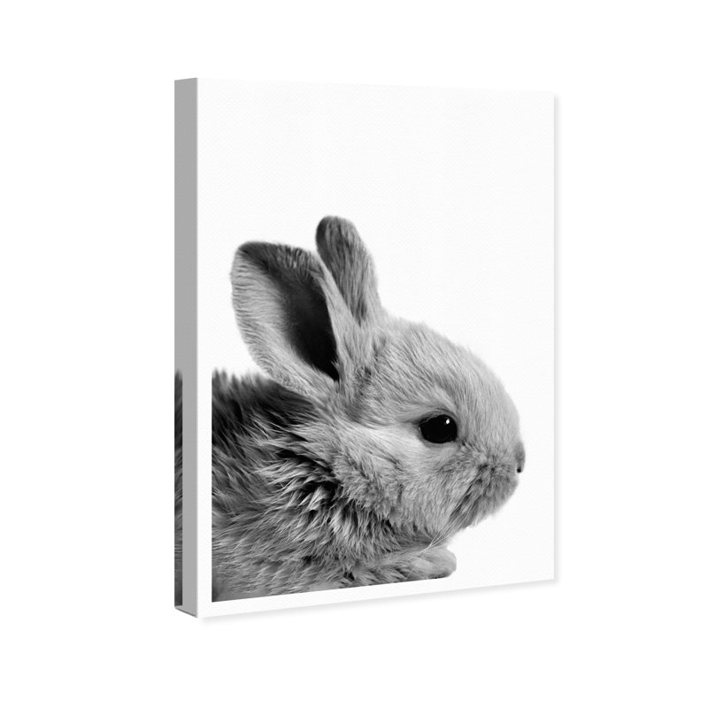 « lapin ears », impression encadrée, H 24 po x l 16 po x P 0,75 po, Toile tendue
