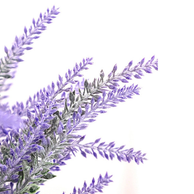 Arrangement de lavande Kassaraba, Mauve