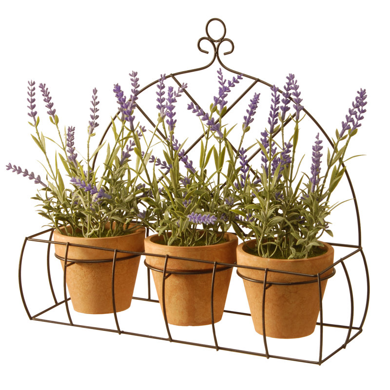 Lavender Arrangement in Pot