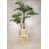 Beech Natural is out of stock