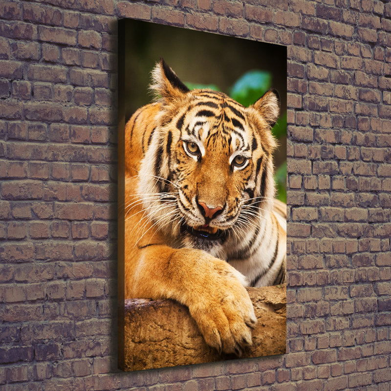 Bengal Tiger - Wrapped Canvas Print
